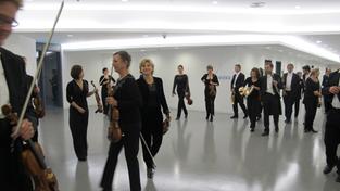 "Backstage" - Momentaufnahmen aus dem Orchesteralltag (Foto: Stephan Böhnlein)