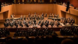 DRP-Orchesterfoto (Foto: Mechthild Schneider)