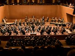 DRP-Orchesterfoto (Foto: Mechthild Schneider)