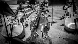  (Foto: Veerle Vercauteren)